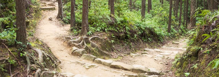 Don’t Underestimate the Power of A/B Testing